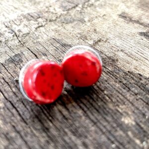 Ceramic Earrings